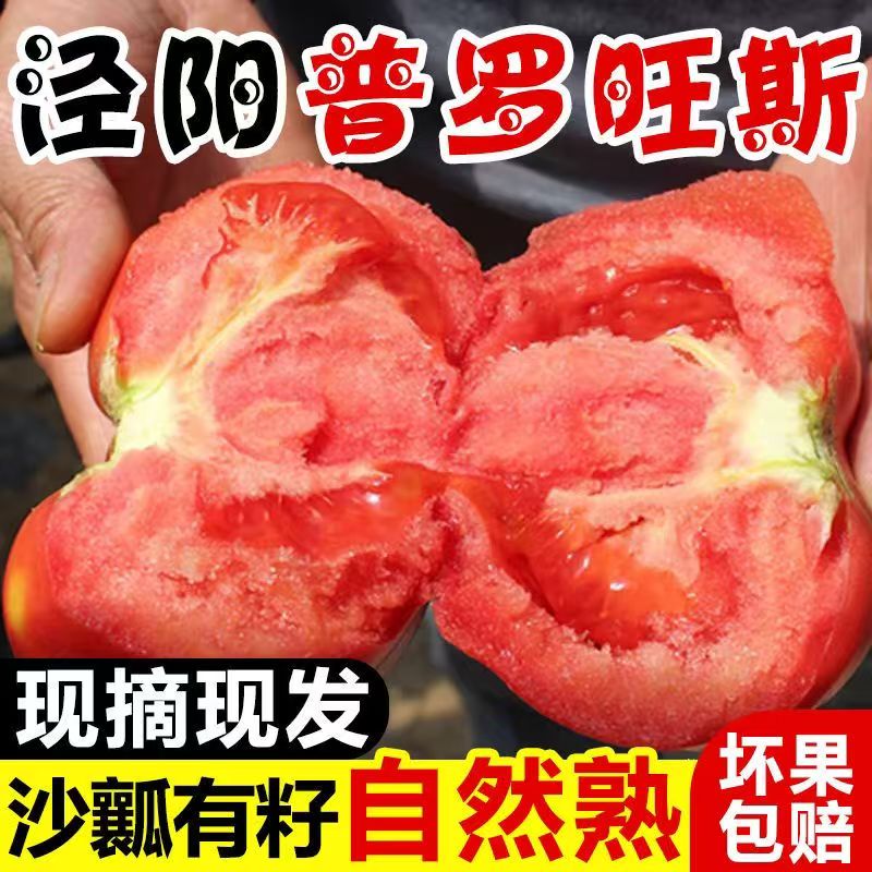 陕西泾阳普罗旺斯西红柿5斤包邮新鲜生吃自然熟孕妇沙瓤番茄整箱