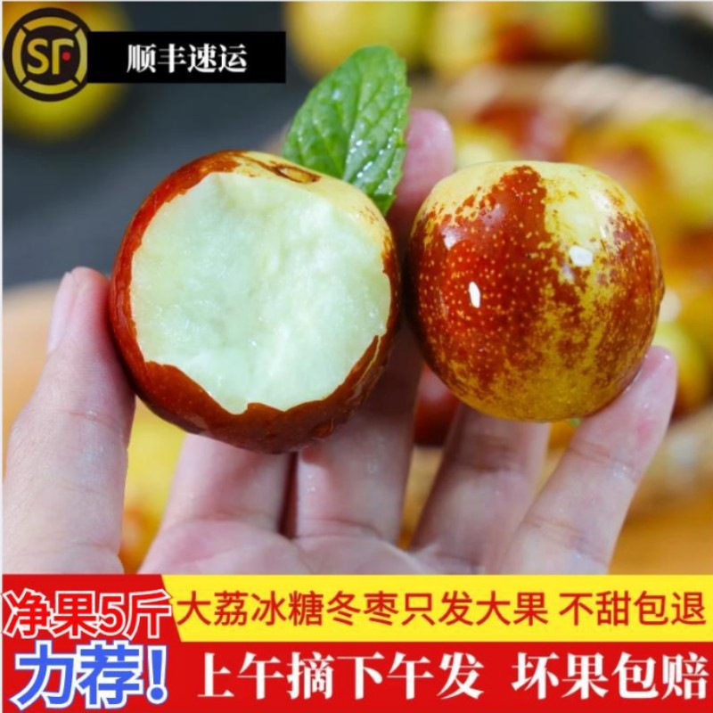 顺丰包邮陕西大荔精品冬枣5斤
