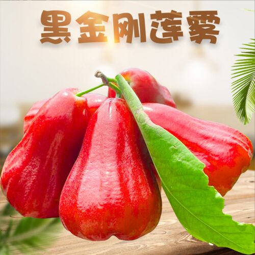 【顺丰包邮】海南黑金刚莲雾3斤精品大果5A级新鲜应季水果整箱批