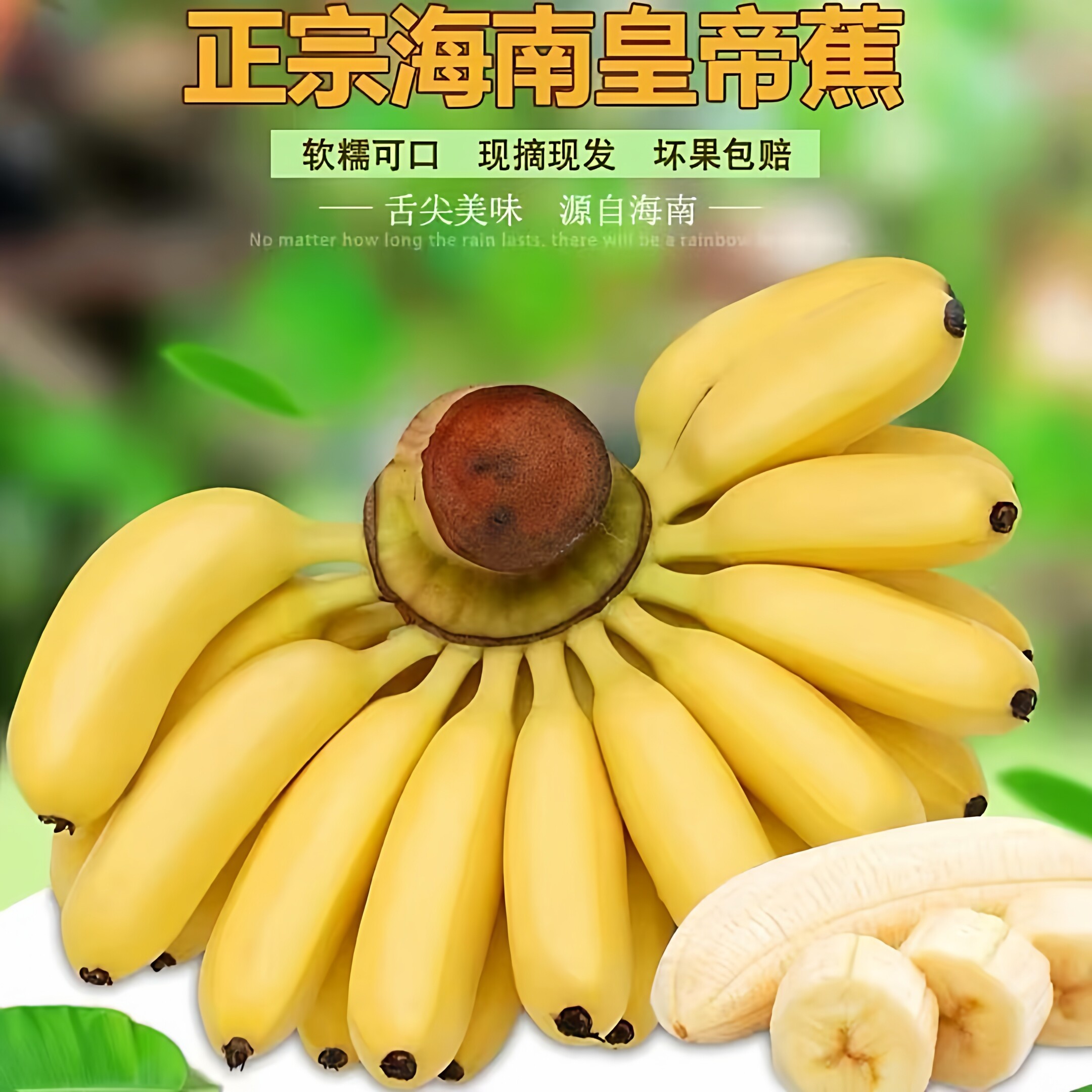 海南皇帝蕉新鲜小香蕉5斤包邮当季孕妇水果帝王蕉皮薄小米蕉整箱