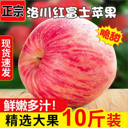 陕西洛川红富士苹果5斤包邮新鲜当季水果延安苹果脆甜大果整箱批