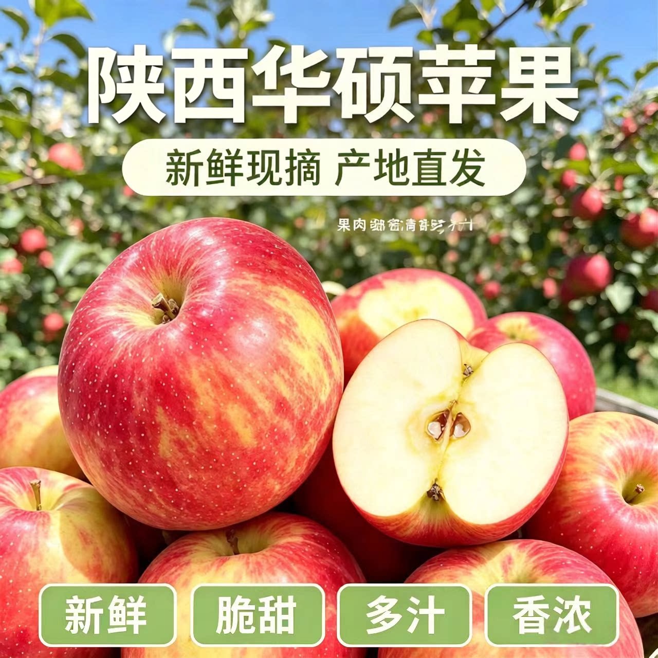 陕西礼泉华硕奶油苹果脆甜10斤大果包邮应当季新鲜水果青红苹果