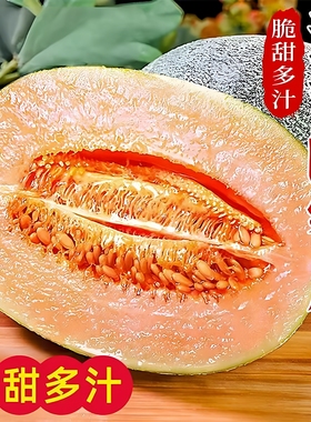 海南晓蜜25西州蜜瓜哈密瓜5斤包邮当季新鲜孕妇水果网纹甜瓜整箱