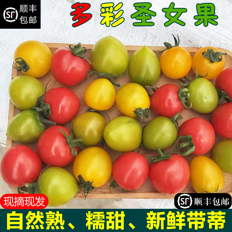 【顺丰包邮】陕西泾阳多彩樱桃小番茄黄红绿圣女果4斤新鲜现摘批