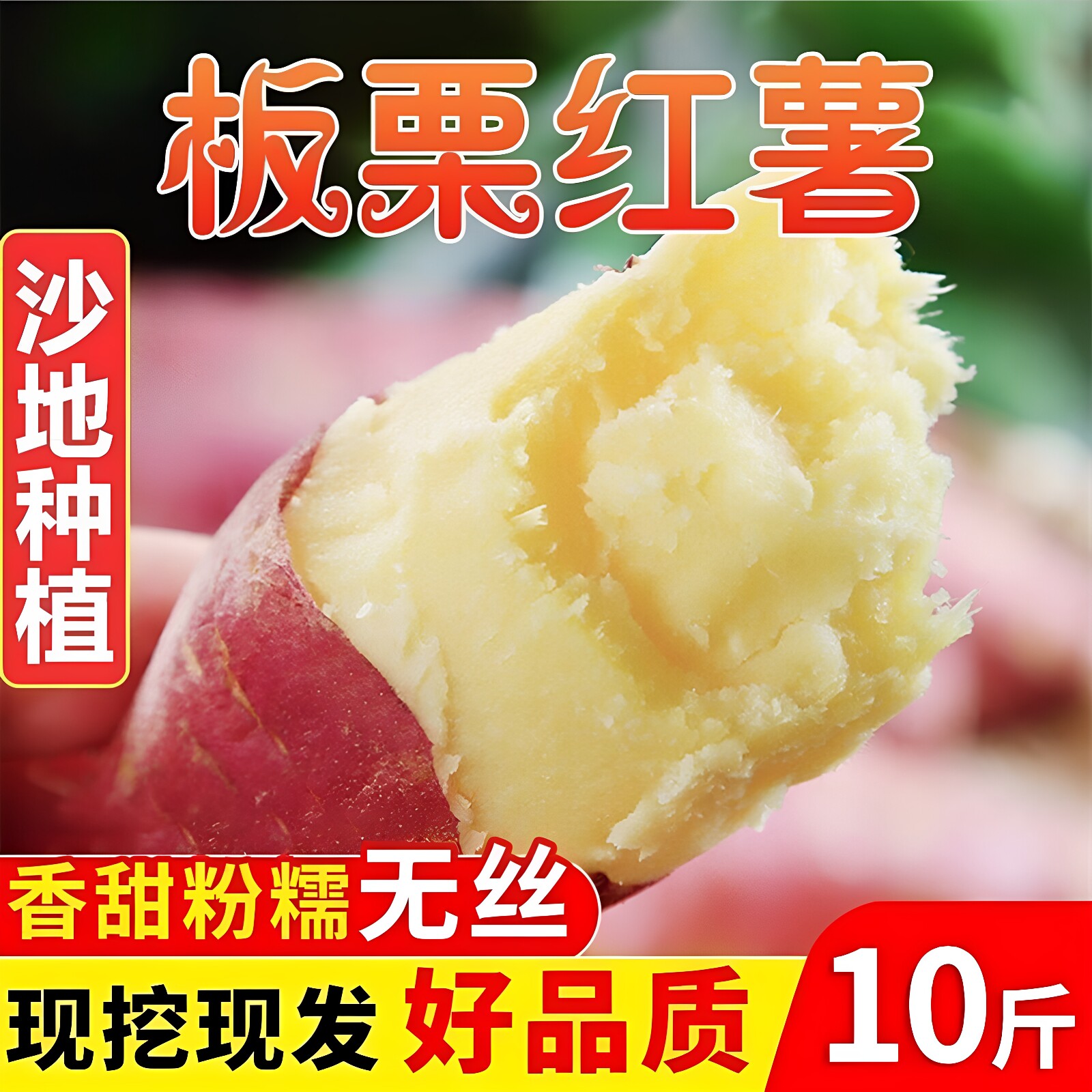陕西沙地正宗板栗红薯5斤包邮