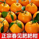 应当季 四川春见耙耙柑10斤5斤新鲜 包邮 孕妇水果丑柑橘现摘整箱批