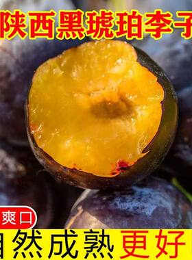 陕西黑琥珀黑布林黑巨李黑宝石李子5斤包邮鲜鲜酸甜孕妇水果当季