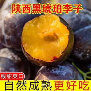 陕西黑琥珀黑布林黑巨李黑宝石李子5斤包邮鲜鲜酸甜孕妇水果当季