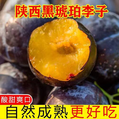 陕西黑琥珀黑布林黑巨李黑宝石李子5斤包邮鲜鲜酸甜孕妇水果当季