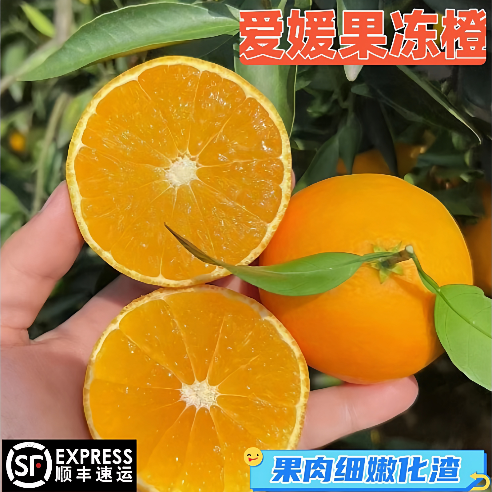 顺丰包邮爱媛38号果冻橙新鲜水果