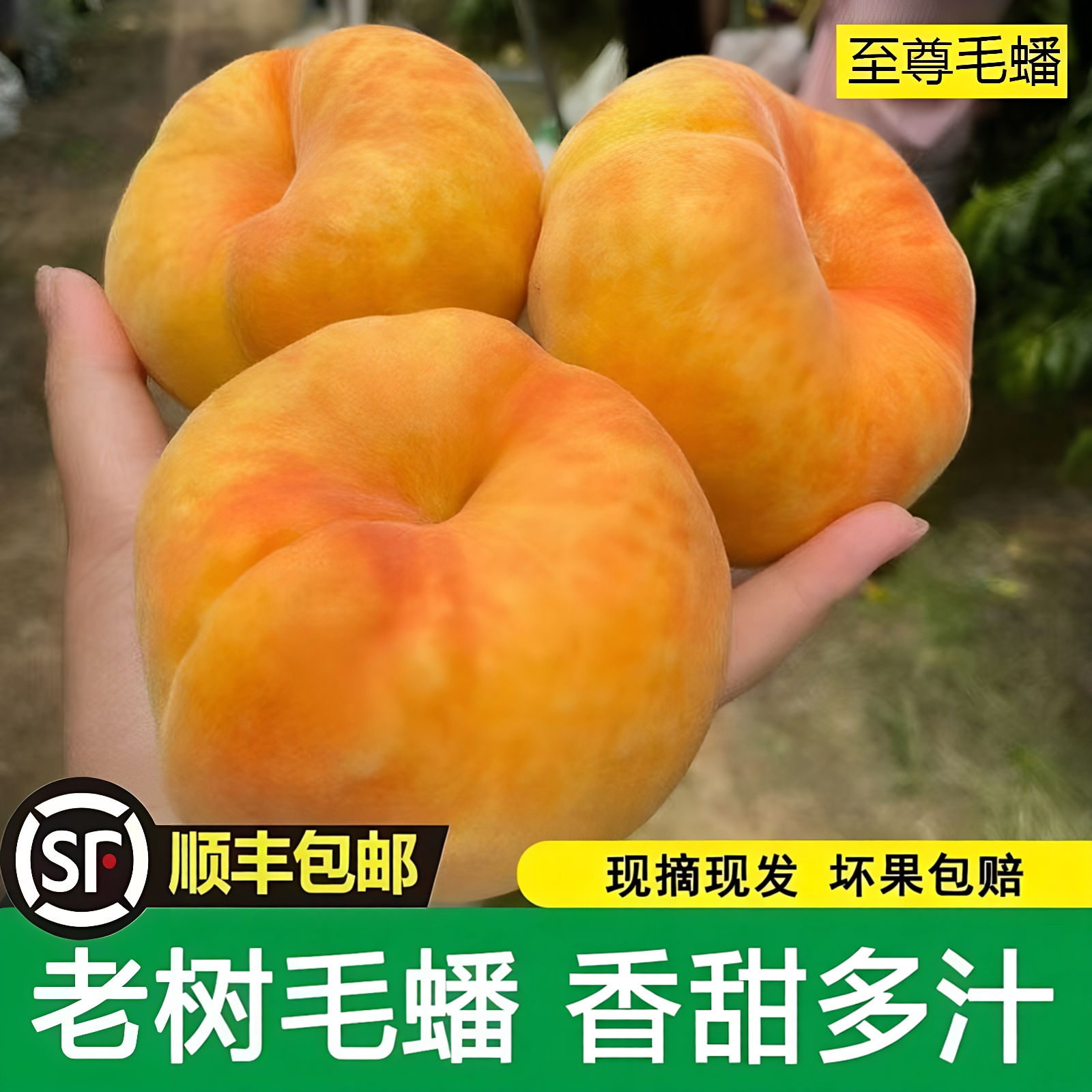 【顺丰包邮】陕西礼泉黄金蟠桃黄毛蟠桃5斤包邮新鲜应季水果扁桃