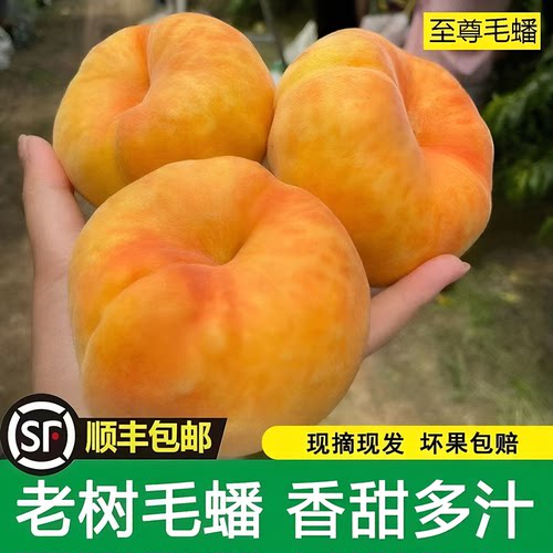 【顺丰包邮】陕西礼泉黄金蟠桃黄毛蟠桃5斤包邮新鲜应季水果扁桃