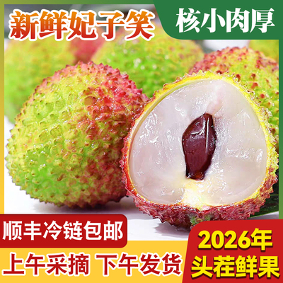 广西妃子笑现摘大果荔枝