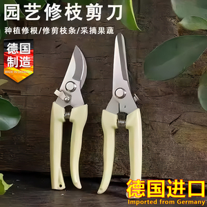 德国进口修枝剪园艺剪树枝果树