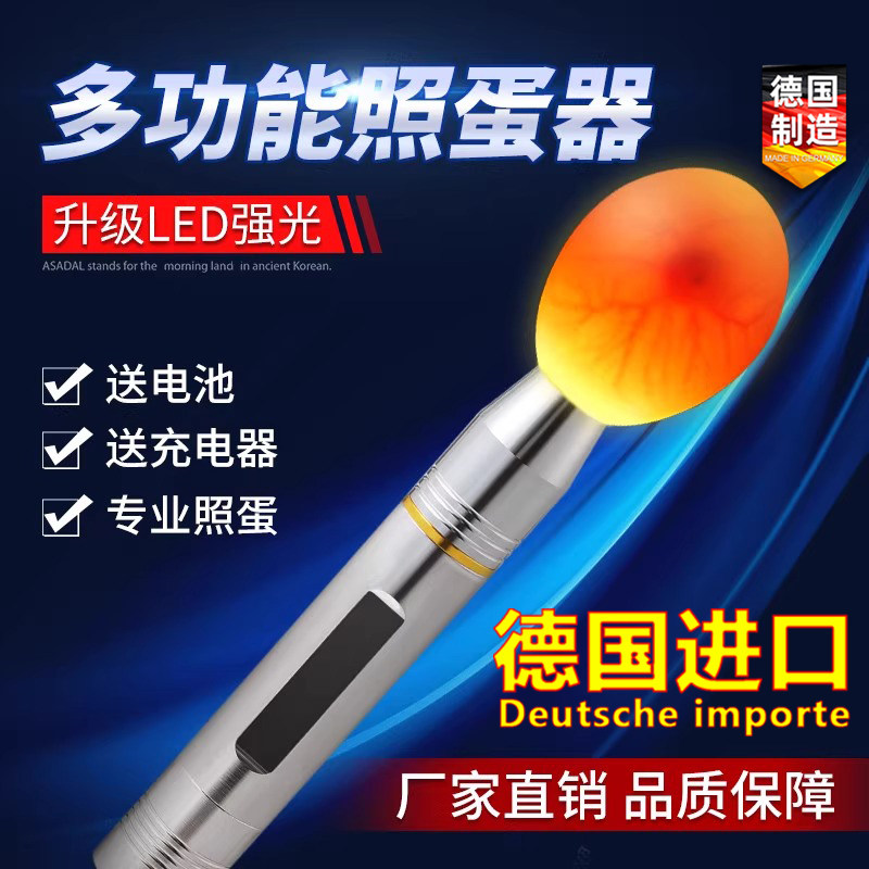 德国进口照蛋器led手电筒