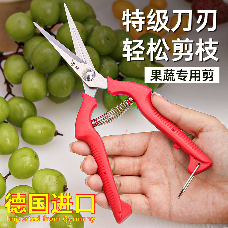 德国进口艺修剪枝采果剪摘果剪花椒剪枸杞采摘工具果蔬剪刀花剪