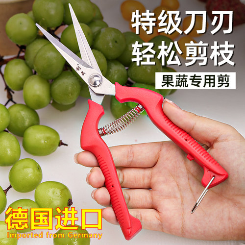 德国进口艺修剪枝采果剪