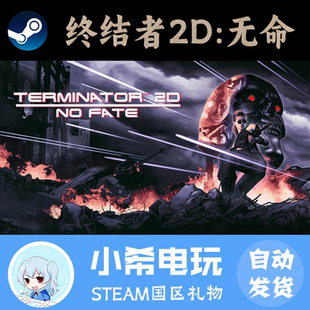 Terminator FATE 游戏好友礼物 Steam 正版 终结者2D：无命