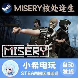 Steam MISERY核处逢生 正版游戏激活码CDKEY 国区PC 后末日生存