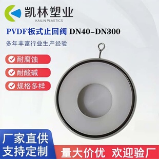 耐强酸强碱PVDF板式止回阀耐高温聚偏二氟乙烯单向阀DN40-DN300