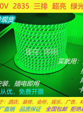 LED灯带条绿色LED灯条220V三排绿光灯带防水超高亮客厅家装展厅