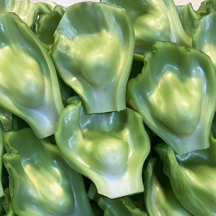 四川奶奶菜新鲜现采青菜梗包包青菜做泡菜用农家芥菜泡沫箱装包邮,水产肉类/新鲜蔬果/熟食,其它,淘宝优惠券,粉丝福利购,淘宝优惠卷