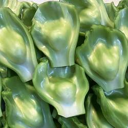 四川奶奶菜新鲜现采青菜梗包包青菜做泡菜用农家芥菜泡沫箱装包邮