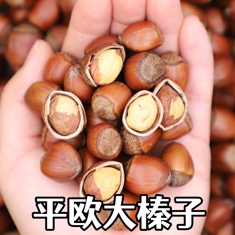 鼠小于东北特产平欧大榛子东北大榛子新货 送钳子