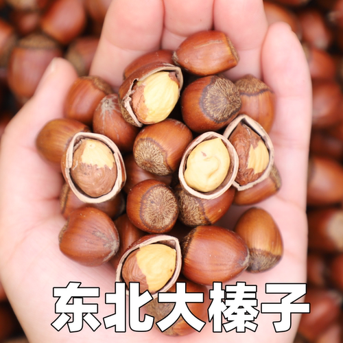 新货大榛子鼠小于榛子原味炒熟