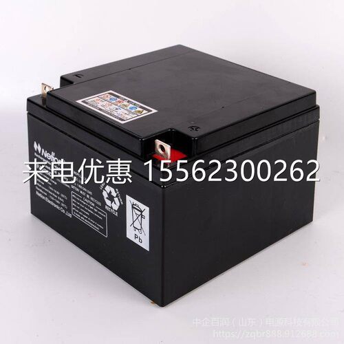 NETION12V38AH力讯UPS通讯基站电池蓄电池NP-XA1238CH