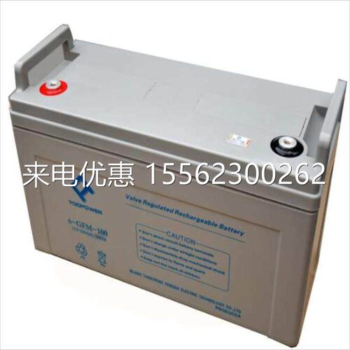 TOOPOWER天力蓄电池6GFM100长寿命系列12V100AH总理商