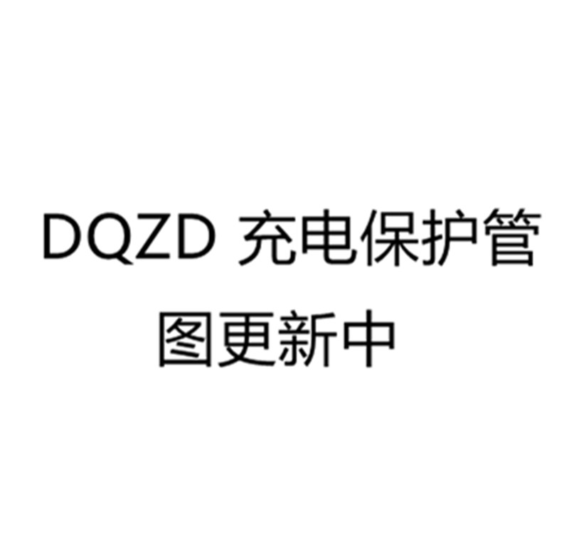 DQZD充电保护管22脚