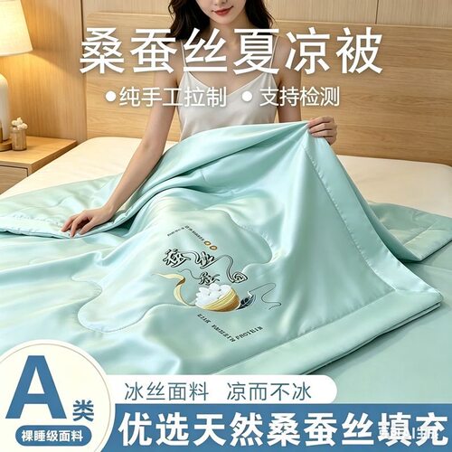 2026新款蚕丝被100%桑蚕丝夏凉被双人夏被空调被单人冰丝薄款被芯