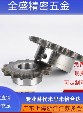 SP40B21-N/S-14/15/16/17/18/19/20/22/24/25/28/30/32/35/40链轮