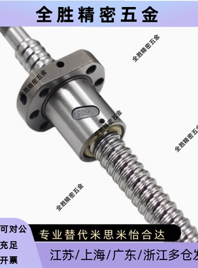 BTWE2005 2010 2020-L200 L300 L300-T20 T25T30-R K-N Y滚珠丝杆