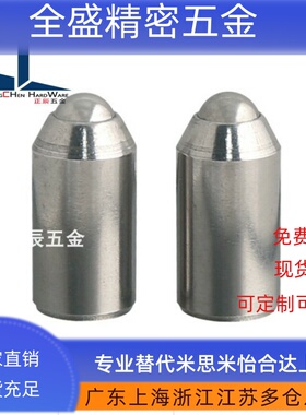 不锈钢BSZP56 8 10重载型光身型球头柱塞无牙定位珠弹弓顶销ZAL36