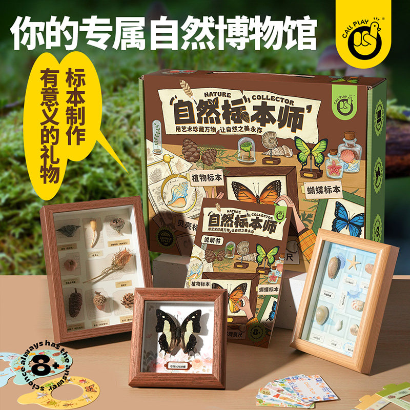 科答鸭儿童蝴蝶标本制作