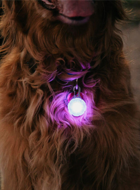 美国奈爱Niteize宠物LED安全灯夜间遛狗灯防车祸走失项圈发光吊坠