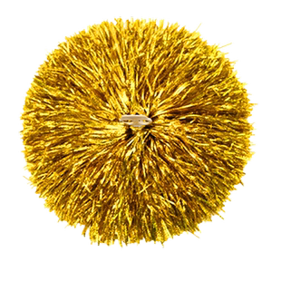 拉拉队手花啦啦操花球啦啦花球彩球啦啦队手拿花手摇花舞蹈演运动