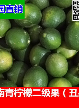海南新鲜青柠檬二级果花斑丑青黄柠冷饮餐厅水果柠檬多规格包邮