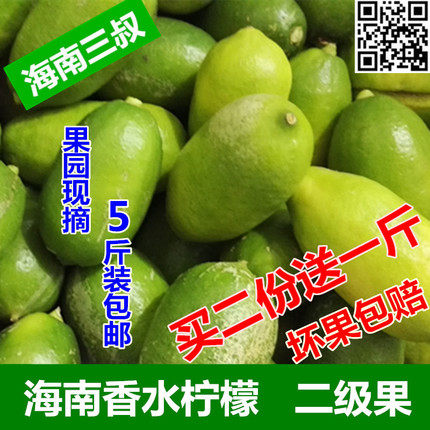 现货海南新鲜无籽5现摘香水柠檬