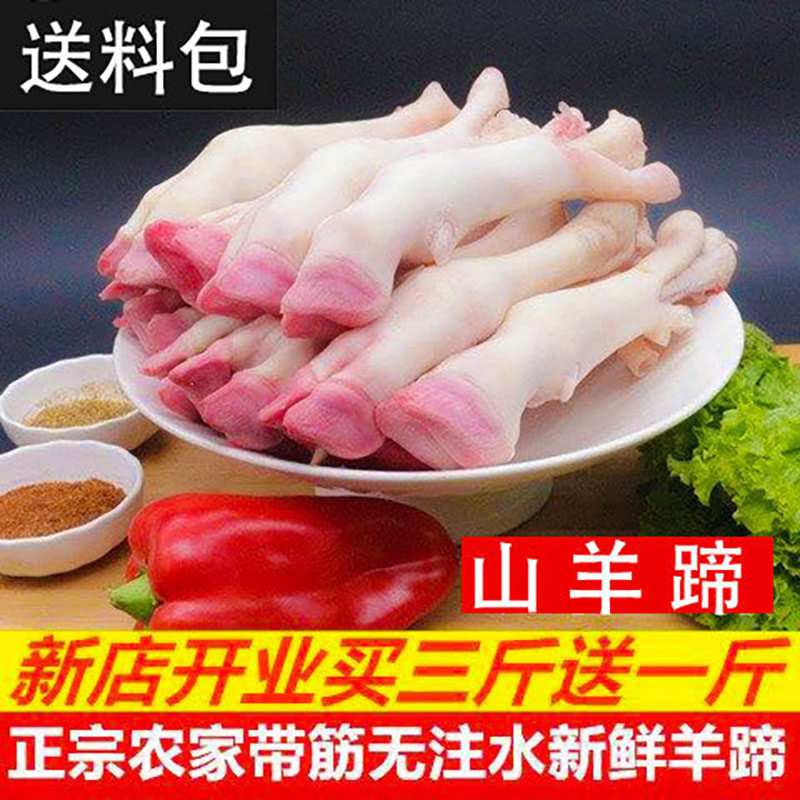 现杀鲜冻羊蹄子羊脚现杀白羊蹄子