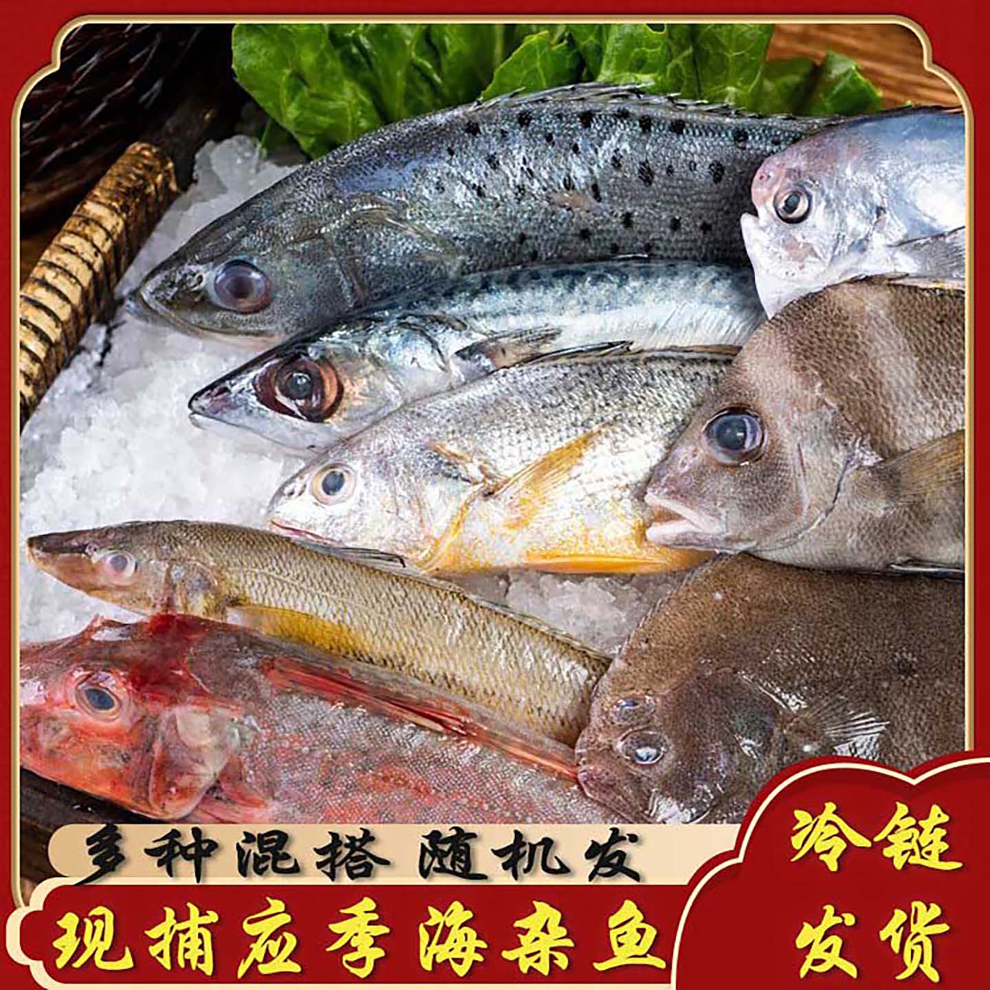 新鲜海杂鱼冷冻组合深海鱼