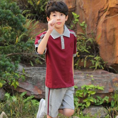 凤岗镇小学生统一校服棉短袖短裤