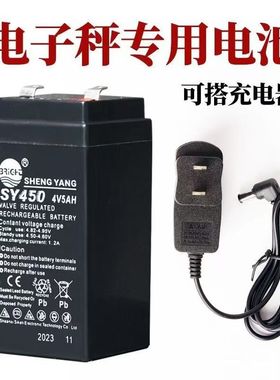 SHENGYANG晟阳蓄电池4v5ah  SY450D sy440电子秤 台秤 计价秤电池