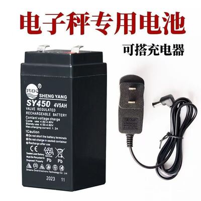 电子秤蓄电池晟阳长续航