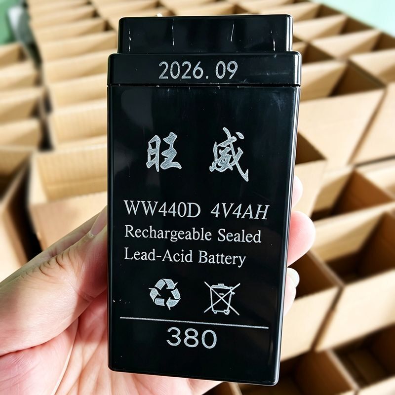 WH电子秤江西超长续航