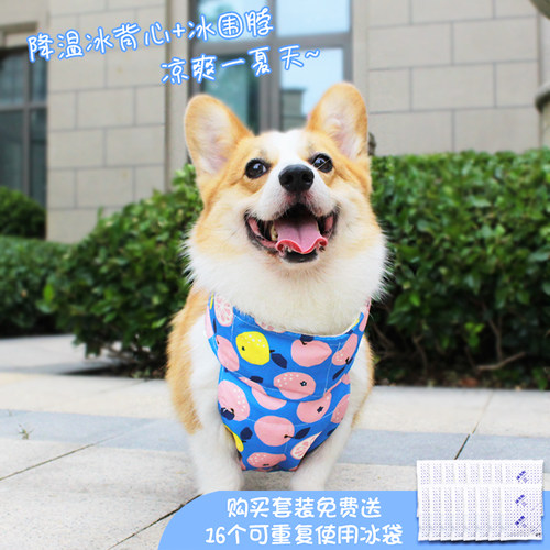 柯基法斗外出降温套装送冰袋