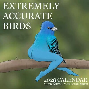 跨境热2026CALENDAR OF EXTREMELY ACCURATE BIRDS鸟类日历
