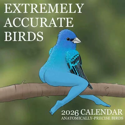 跨境热2026CALENDAR OF EXTREMELY ACCURATE BIRDS鸟类日历